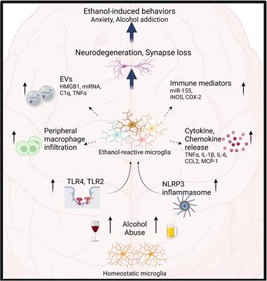 Innate immune activation: Parallels in alcohol use disorder and Alzheimer’s disease
